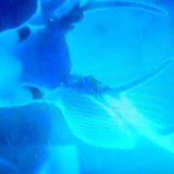 　空隙 @ 作品執筆中✍️さんのアイコン画像