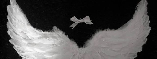 🍮さんの壁紙画像