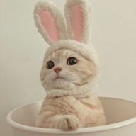 𝐇𝐢𝐧𝐚さんのアイコン画像