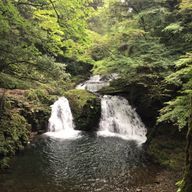 ノラクラさんのアイコン画像