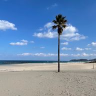 🌙𝑀𝓎𝓀🌙さんのアイコン画像