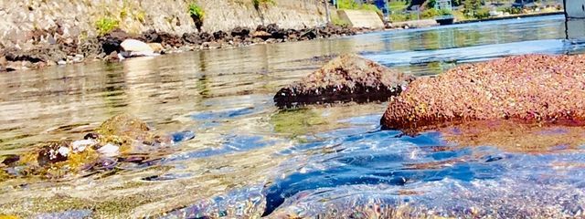 お阿保。🎧🦋　なんかもう色々変えたさんの壁紙画像