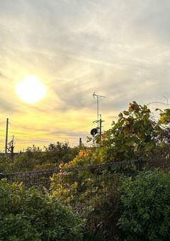 To stand next to you