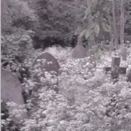 八神 夜愛    さんのアイコン画像