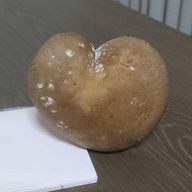 はのさんのアイコン画像