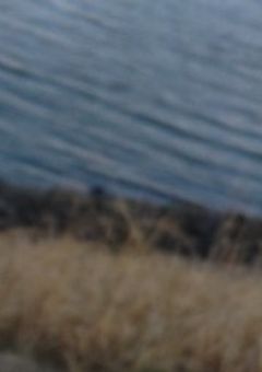 実験施設研究員集団殺人事件。