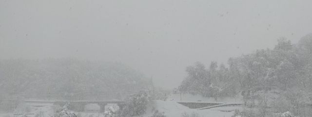 nekoさんの壁紙画像