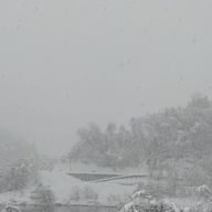 nekoさんのアイコン画像