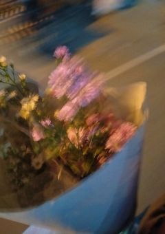 花言葉をきみに。