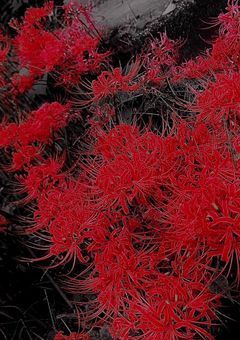 mm イラスト部屋