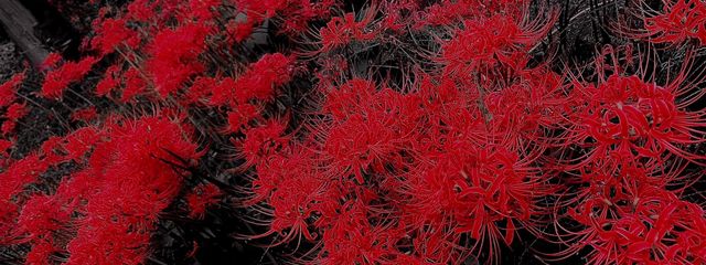 。さんの壁紙画像