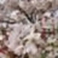 みなとさんのアイコン画像