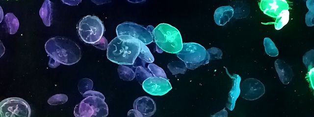 零_レイ_さんの壁紙画像