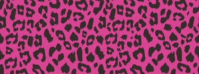 平成の極み乙女さんの壁紙画像