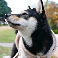 🌈🍑&⛄️大好き勢さんのアイコン画像