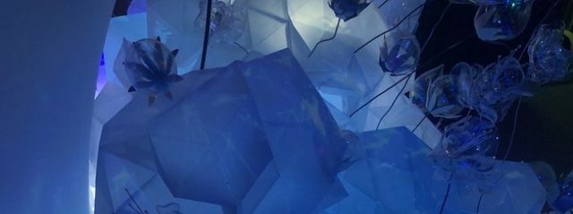 Seiさんの壁紙画像