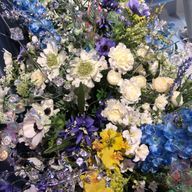 Seiさんのアイコン画像