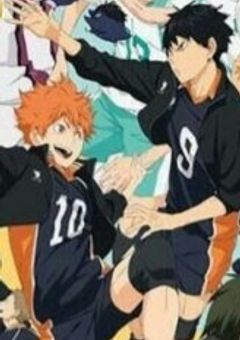 音駒が大暴れの話