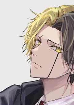 魔法界に突然現れた最強呪術師