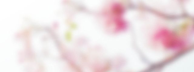 もちちさんの壁紙画像