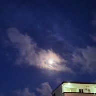 MSさんのアイコン画像