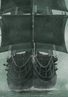 大海賊なんて...