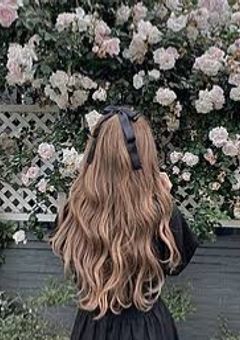 な に わ の お 嬢 様 