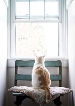 わたしのお部屋❁⃘*.ﾟ