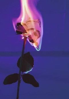 リョウカタオモイ