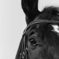 jkvさんのアイコン画像