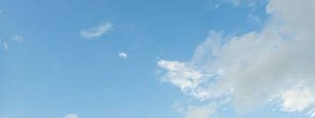 公立桜ノ宮高等学校さんの壁紙画像