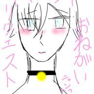 アヤメさんのアイコン画像