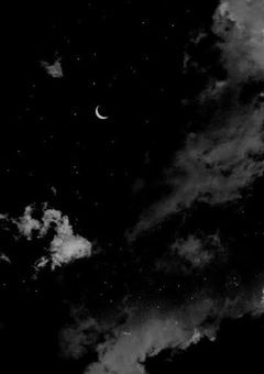 THE Club🥀人外マフィア『参加型』