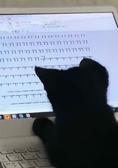 参加してる創作論破語り部屋📖´-