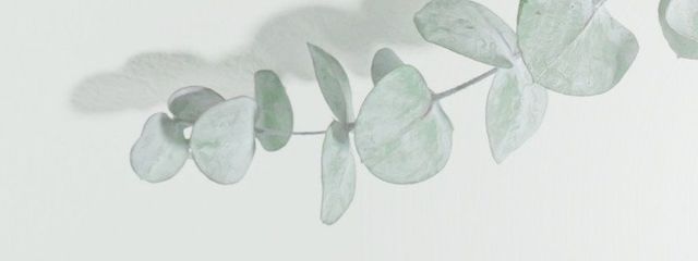 麦茶さんの壁紙画像