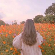 지하🇰🇷さんのアイコン画像