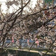 匿名さんのアイコン画像