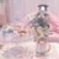 にゃわ娘さんのアイコン画像