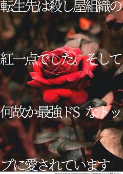 〜気付いたら殺し屋組織の紅一点でした。そして何故か最強ドSなトップに愛されています〜