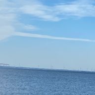  う みさんのアイコン画像