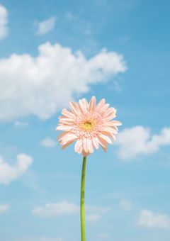 チャナ、こっち向いて？