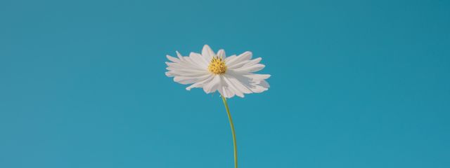 KAGEさんの壁紙画像
