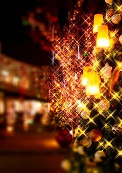 ただ君に「好き」の一言を伝えたいだけ