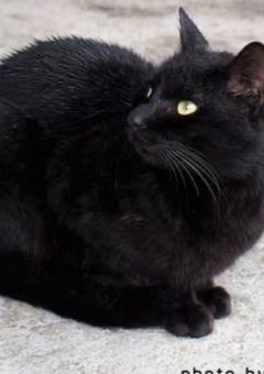 みんなが私をいじめすぎるので、暴言の数を体に可視化してみた結果、愛されたきしょい