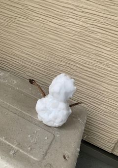 マッシュルUndertaleと夢主のキャラ崩壊LINE