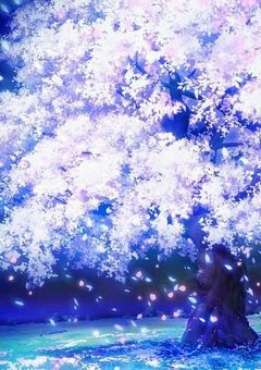 🌸チェリーブロッサム🌸