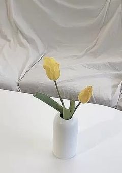 塩 対 応 ち ゃ ん は 溺 愛 さ れ て ま す