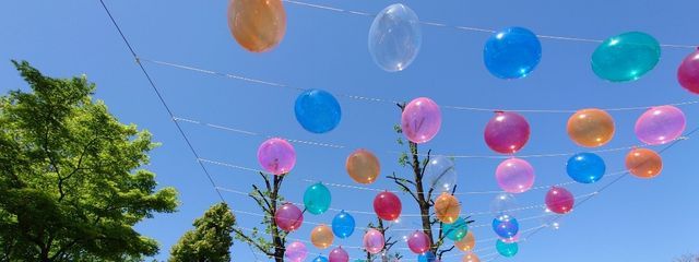 紫蘭さんの壁紙画像