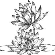 lotus　man 低浮上さんのアイコン画像