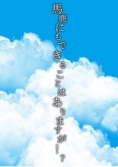 馬鹿にもできることはありますが！？